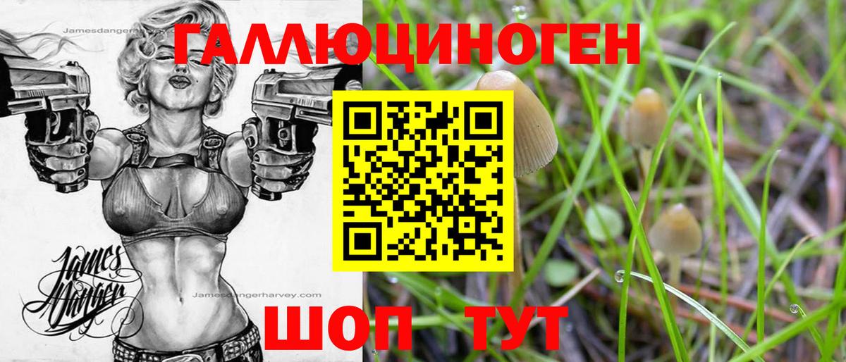 Галлюциногенные грибы Cubensis Егорьевск